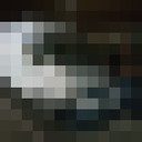 ���������� ����, ���� ������� ��������, 48 ���, ������������ ��� ������, ����� � ���������