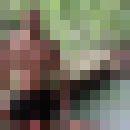  ,   , 43 ,   
