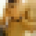  -,   , 36 ,   ,   , c 
