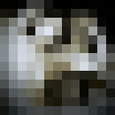  -,   , 36 ,   