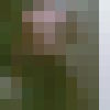  ,   Kolya, 44 ,     , c 