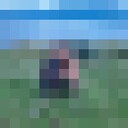 ���������� �������, ���� ������� ������, 35 ���, ������������ ��� ������, ����� � ���������