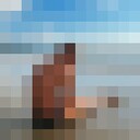 ���������� ��������, ���� ������� �������, 37 ���, ������������ ��� ������, ����� � ���������, c�������� ���������, ���������