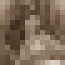  -,    , 40 ,   ,   , c 