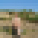 ,   , 65 ,   