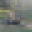  ,   , 34 ,   c 