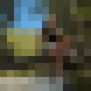 ���������� ���������, ���� ������� �����, 44 ����, ������������ 