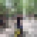 ���������� ������, ���� ������� Tszen, 36 ���, ������������ ��� ������, ����� � ���������, c�������� ���������