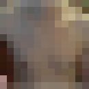  ,    , 43 ,  