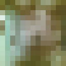 ���������� �������, ���� ������� DIMA, 40 ���, ������������ ��� ������