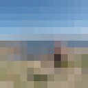 ���������� ����, ���� ������� ������, 36 ���, ������������ ��� ������, ����� � ���������