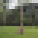  ,   , 55 ,   ,   , c , 