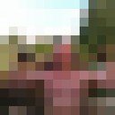  ,   , 49 ,     , c 