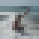  ,   , 53 ,   ,   , c 