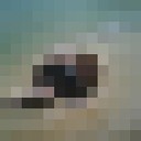  ,   , 52 ,     , c 