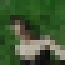 ���������� �������, ���� ������� �������, 30 ���, ������������ ��� ������, ����� � ���������