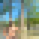  --,   , 29 ,   c 