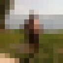  ,   , 60 ,   ,   , 