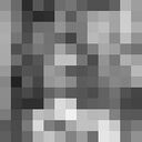  ,   EvgeN, 37 ,   , 