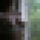  ,   , 37 ,     , c 