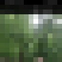 ���������� ���������, ���� ������� ����, 51 ���, ������������ ��� c�������� ���������