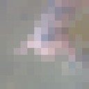 ���������� ����, ���� ������� ����, 28 ���, ������������ ��� ������, ����� � ���������, c�������� ���������