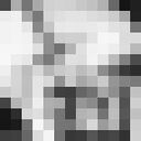 ���������� �����������, ���� ����� ������, 24 ����, ������������ ��� ������, ����� � ���������