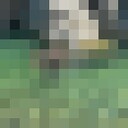 ���������� ������, ���� ������� ������, 33 ����, ������������ ��� ������, ����� � ���������