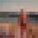  ,   , 55 ,   c 