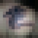  ,   , 36 ,     , c 