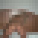  --,   , 42 ,   ,   , c , 
