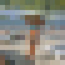  ,   , 55 ,     , c 