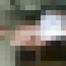  ,   , 41 ,   , 