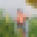  ,   , 48 ,   