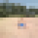  ,   NEO, 43 ,   ,   , c 