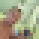  -,   , 43 ,   ,   , c , 