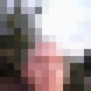  -,   , 40 ,  
