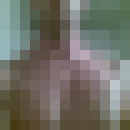  ,   Yrii, 44 ,   ,   , c 