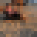 ���������� ������������, ���� ������� �����, 49 ���, ������������ ��� ���������