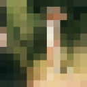  -,   , 64 ,   ,   , c 