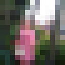  ,   , 56 ,   ,   