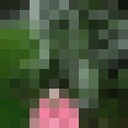 ���������� �����, ���� ������� ����, 45 ���, ������������ 