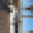 ���������� �����, ���� ������� ������, 43 ����, ������������ ��� ������, ����� � ���������