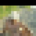  ,   Simon, 48 ,   ,   