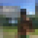  ,   , 61 ,     , c 