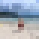 ���������� �����-���������, ���� ������� ������, 32 ����, ������������ ��� ������, ����� � ���������