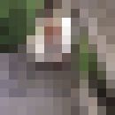 ���������� ������, ���� ������� ���������, 34 ����, ������������ ��� ������