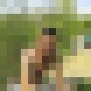  --,   , 41 ,   