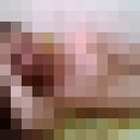 ���������� ����������, ���� ������� ������, 31 ���, ������������ ��� ������