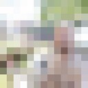 ���� �����. ������.